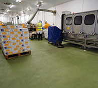 Fish processing Floor NCC